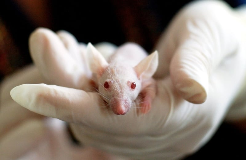 Medical Researcher